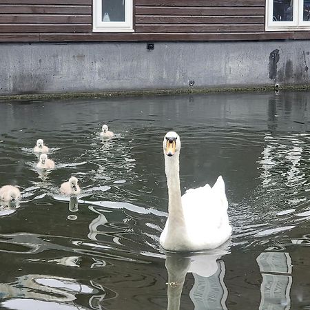 Lovely Canal Boat In Little Venice For Family & Friends London Exterior photo